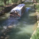 Medina de Rioseco-20130605-00672