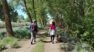 IMG_20180520_113526 - copia