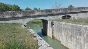 IMG_20180520_114024 - copia